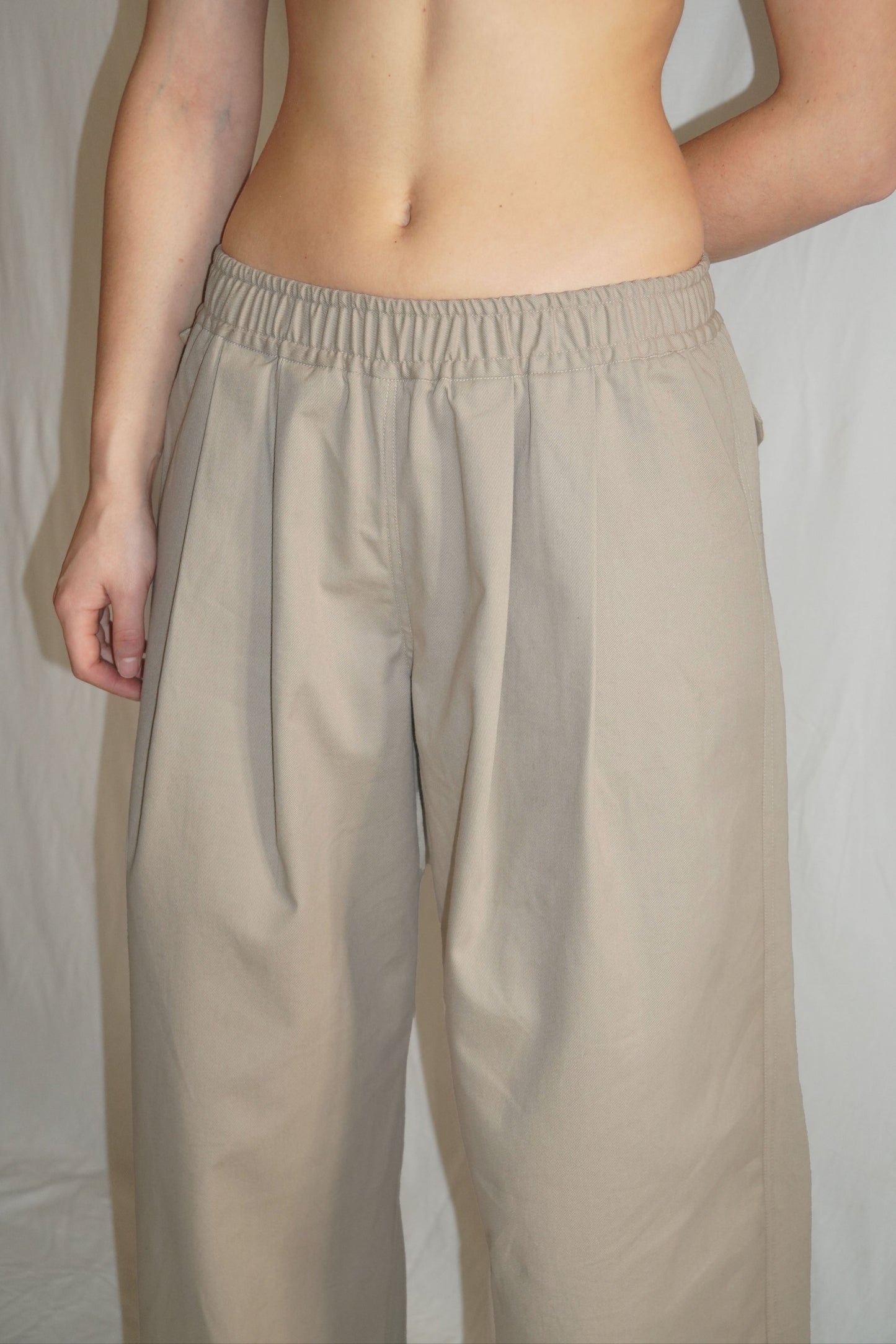 The Granite Pleated Pants in Beige