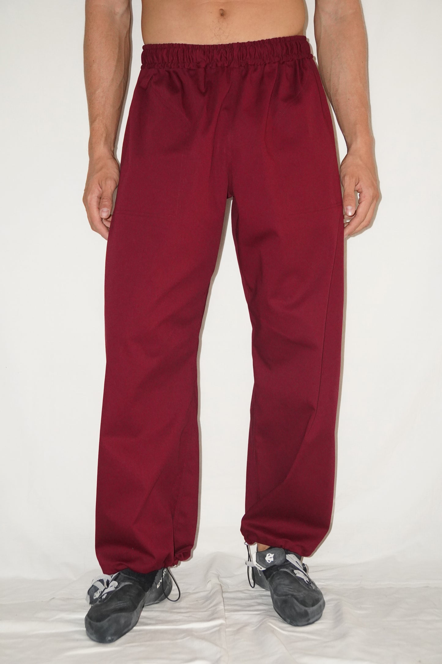 The Doctor Wide Leg Pants in Bordeaux