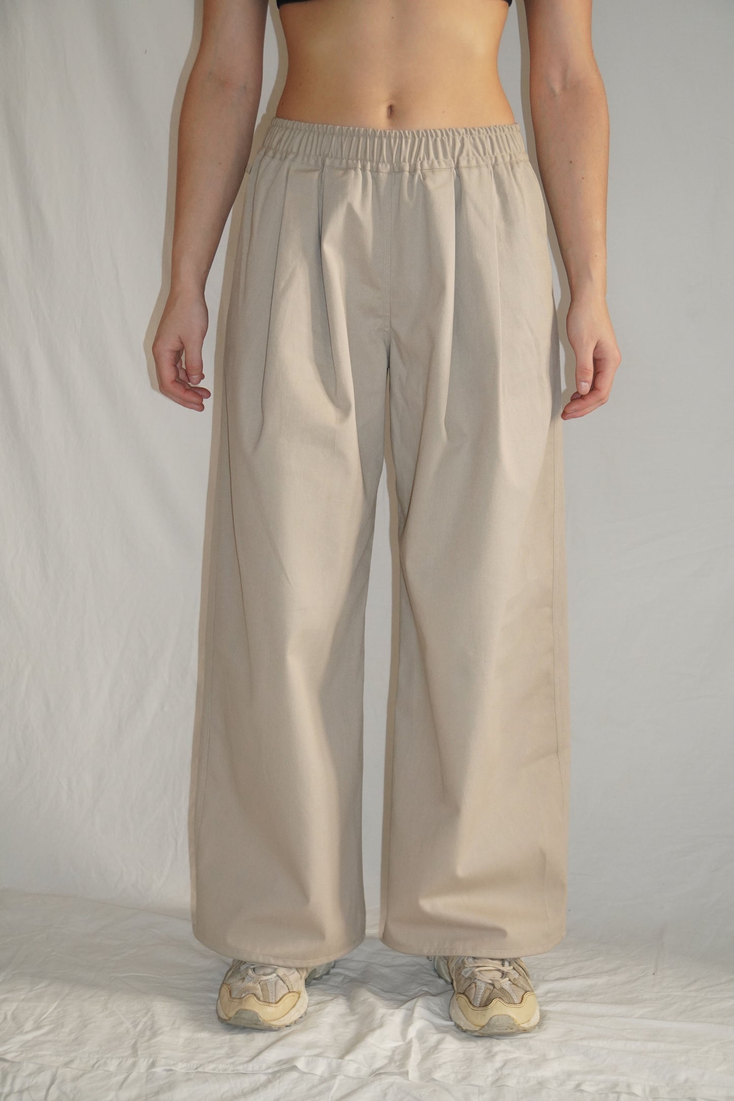 The Granite Pleated Pants in Beige