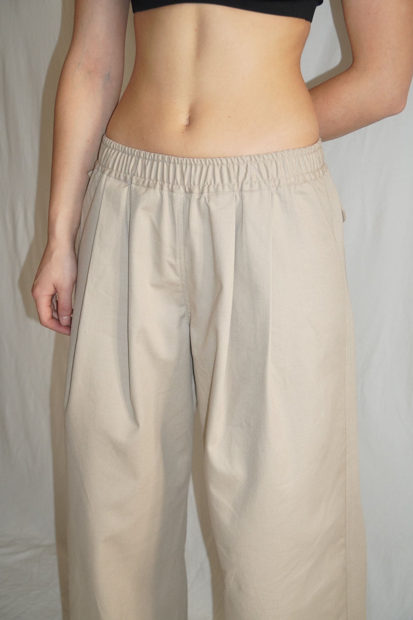 The Granite Pleated Pants in Beige